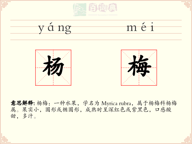 杨梅