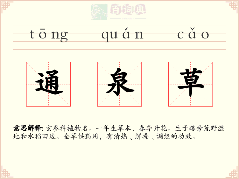 通泉草