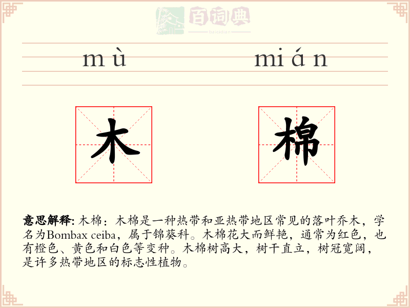 木棉