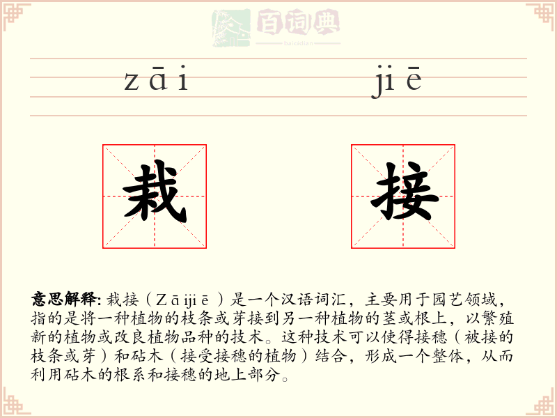 栽接