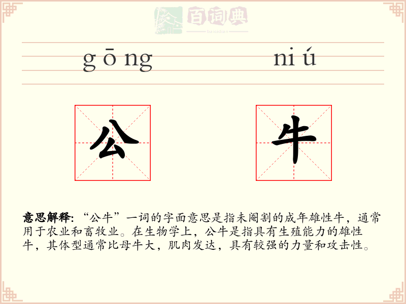 公牛