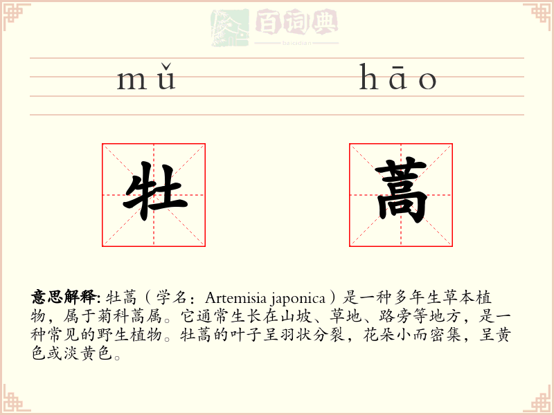 牡蒿