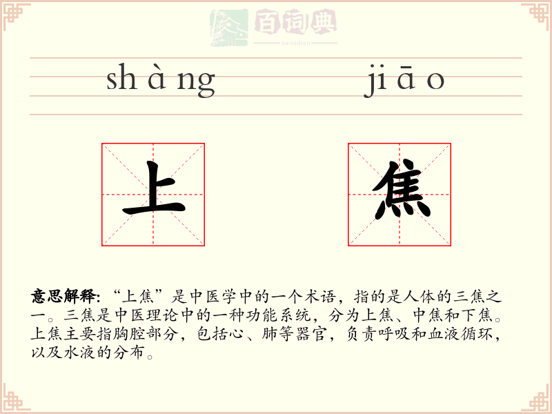 上焦