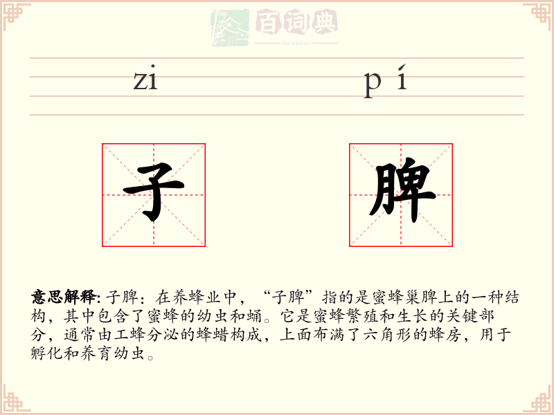 子脾