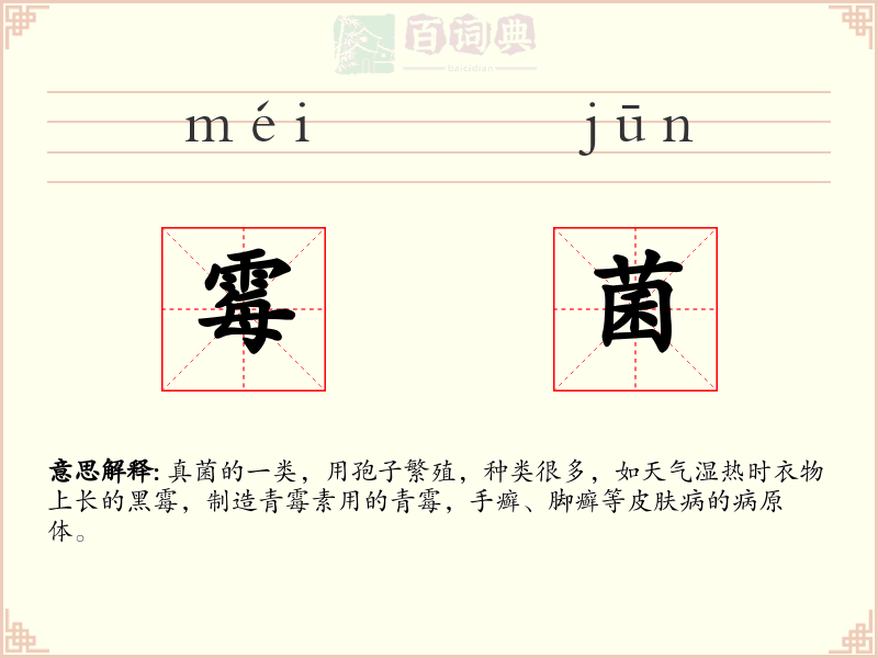 霉菌