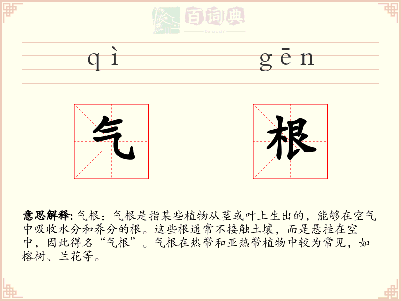 气根