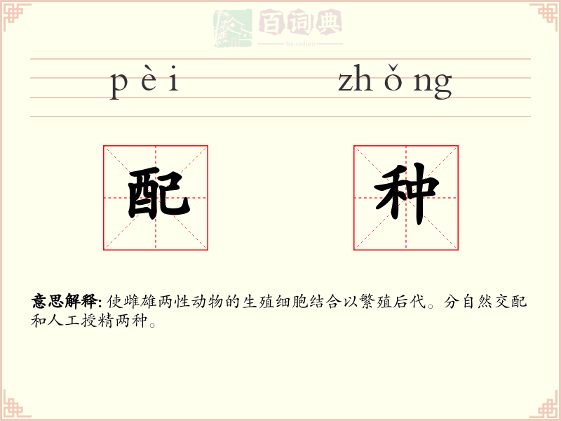 配种