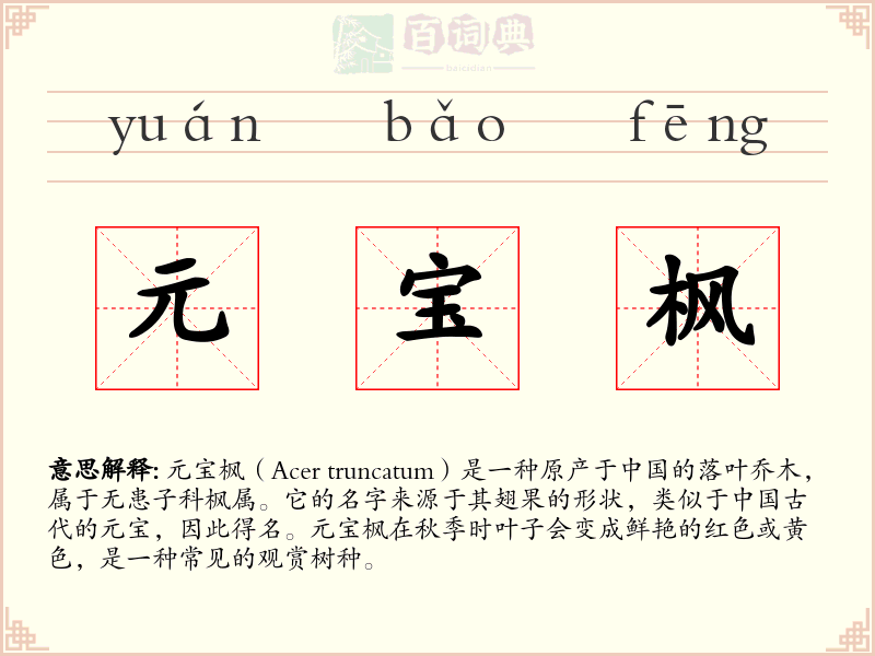 元宝枫
