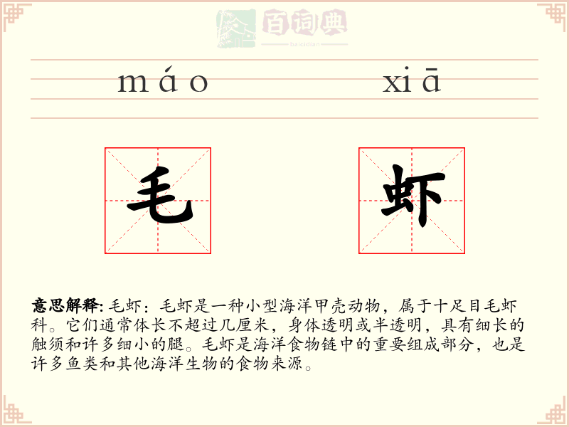 毛虾