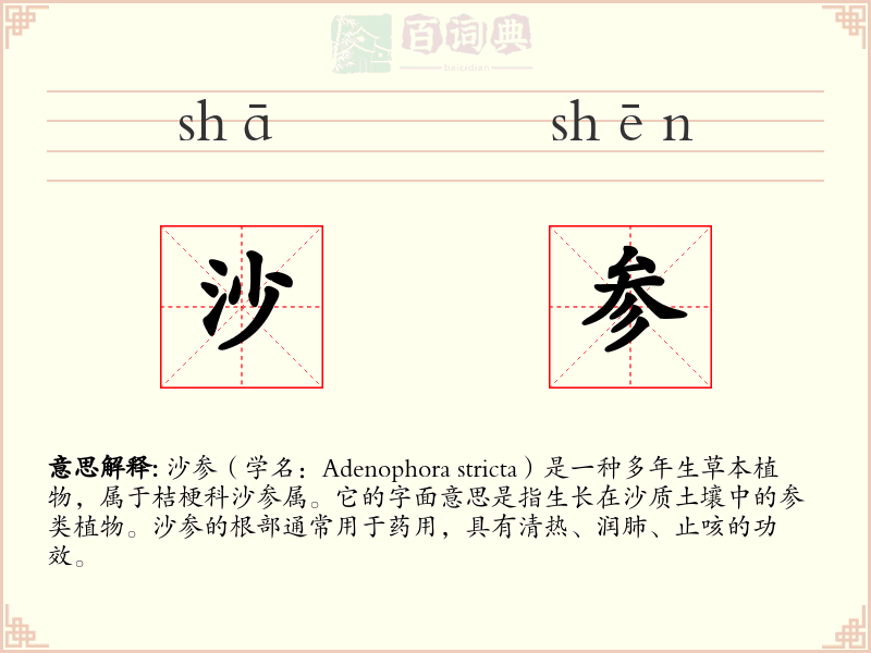 沙参