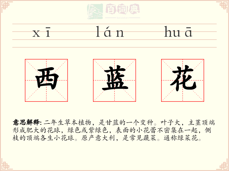 西蓝花