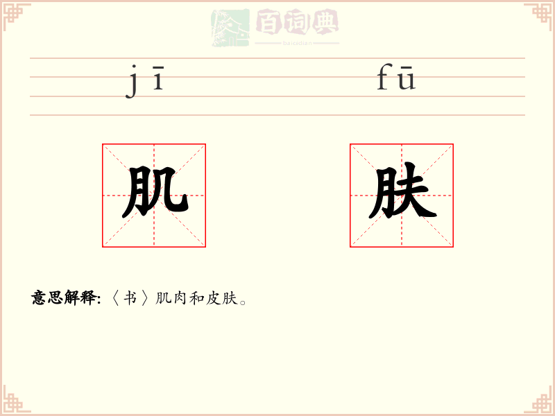 肌肤