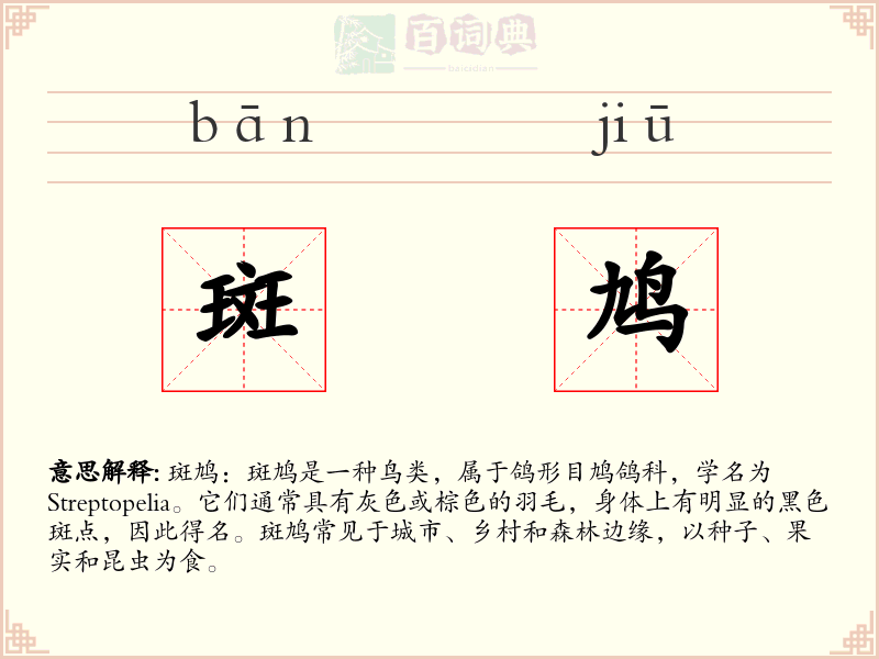 斑鸠