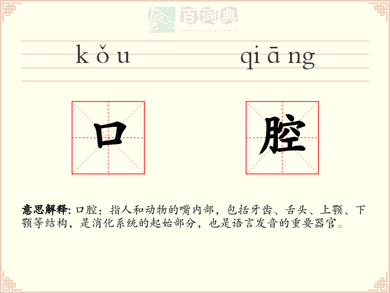 口腔