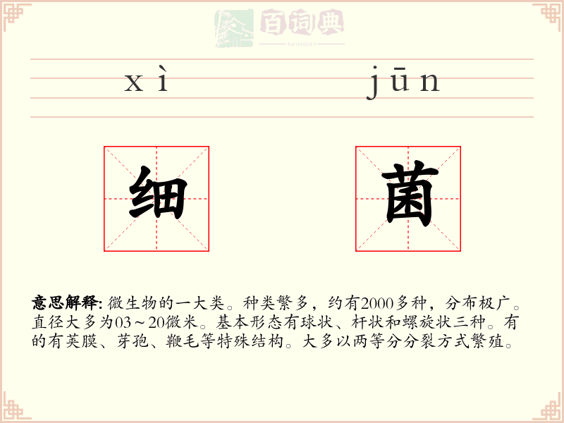 细菌