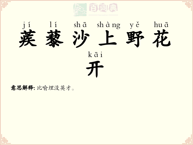 蒺藜沙上野花开