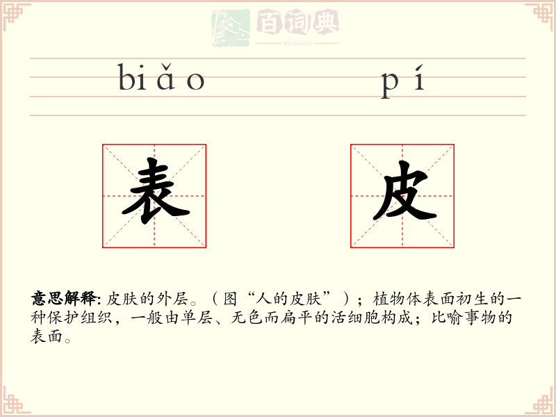 表皮
