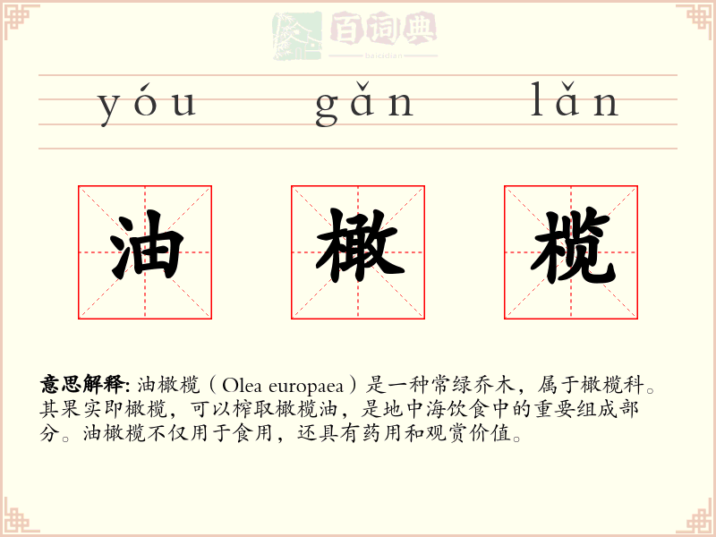 油橄榄