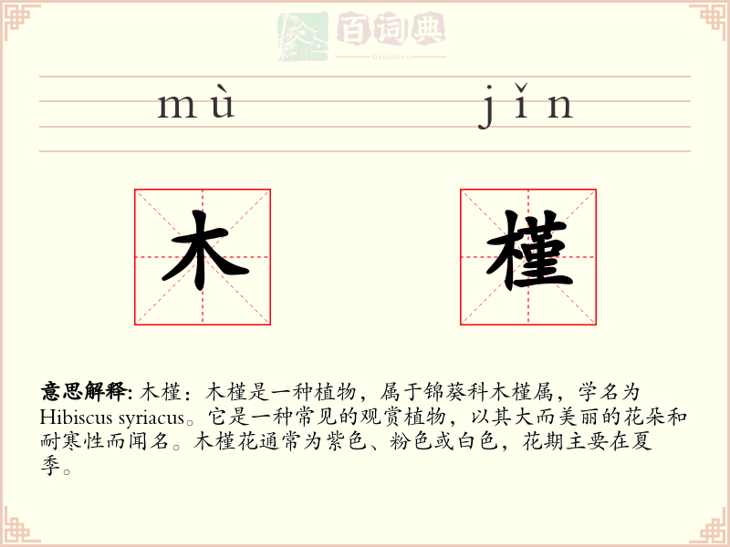 木槿