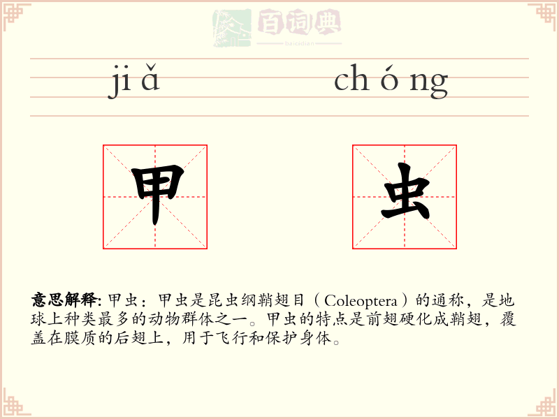 甲虫