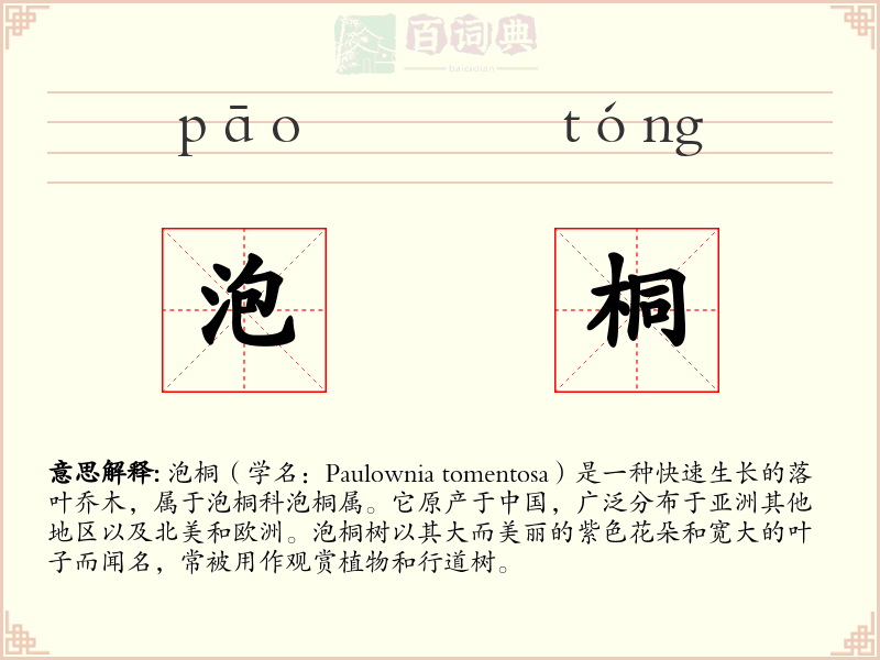 泡桐