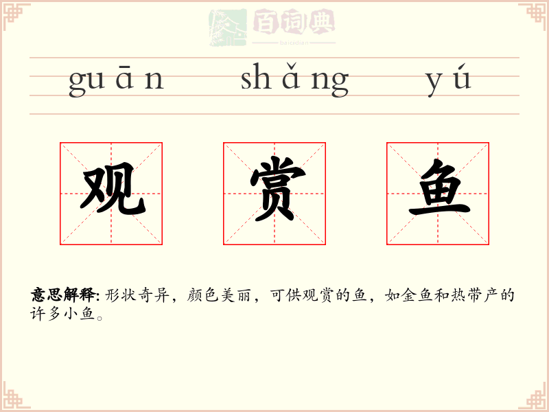 观赏鱼