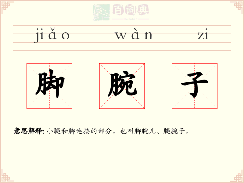 脚腕子