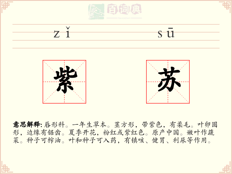 紫苏