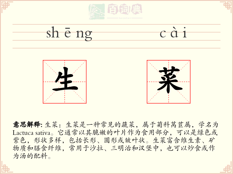 生菜