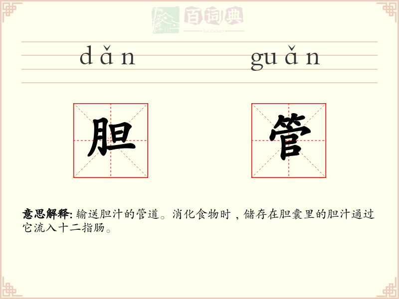 胆管
