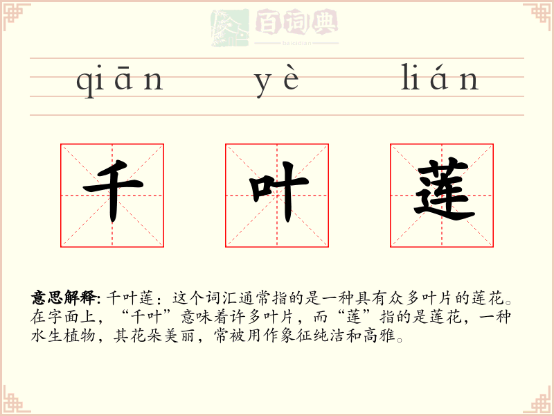 千叶莲