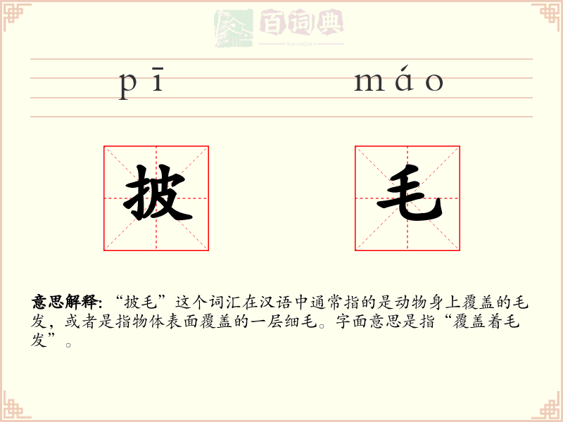 披毛