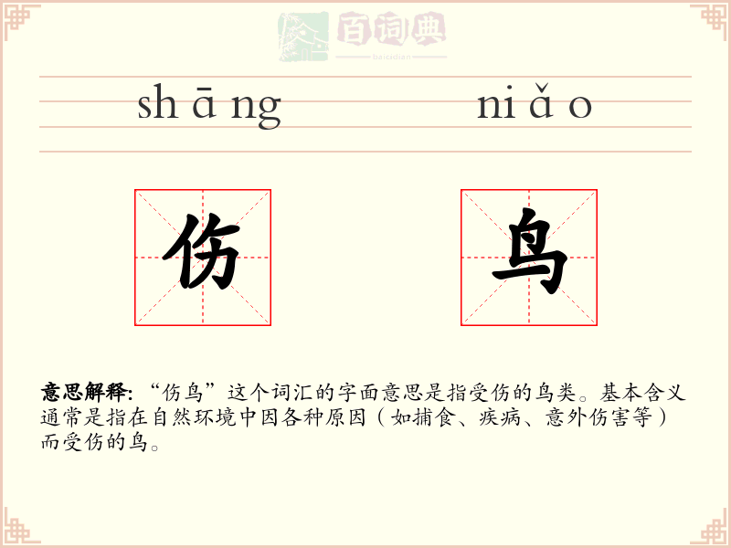 伤鸟