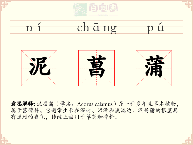 泥菖蒲
