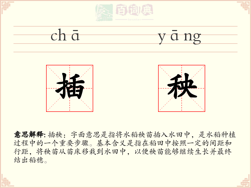 插秧