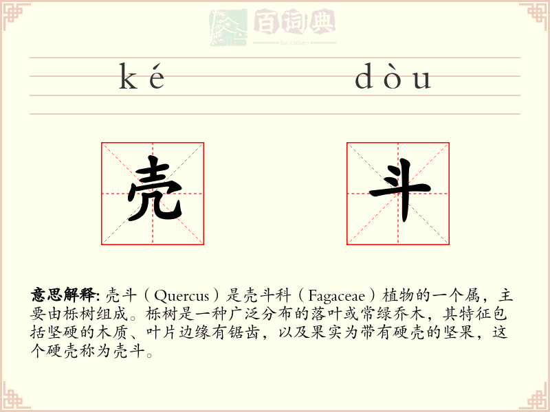壳斗