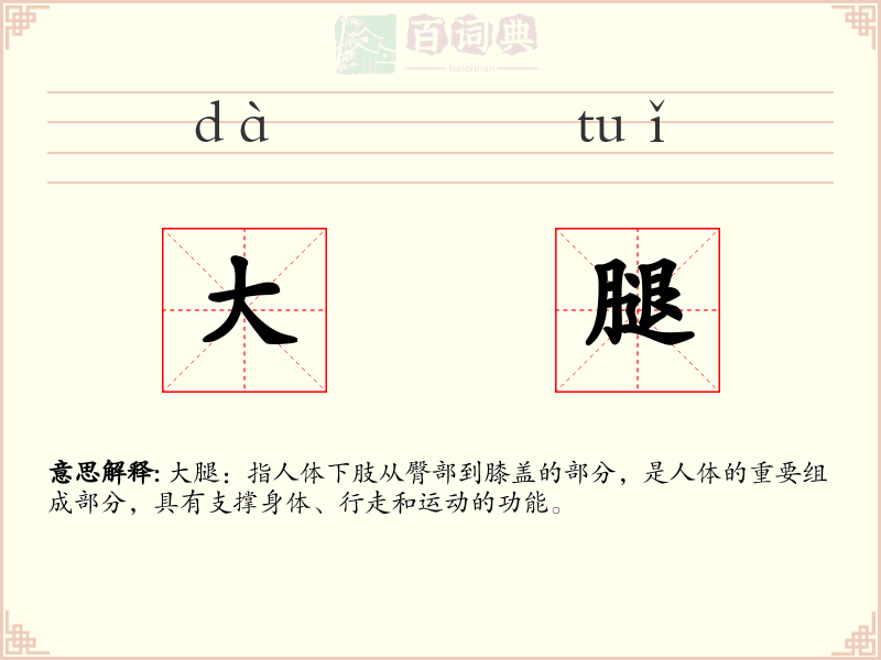 大腿