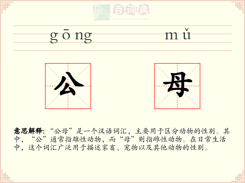 公母