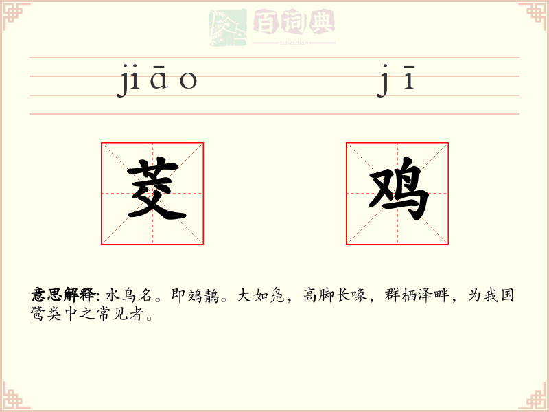 茭鸡