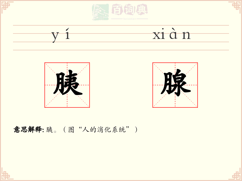 胰腺
