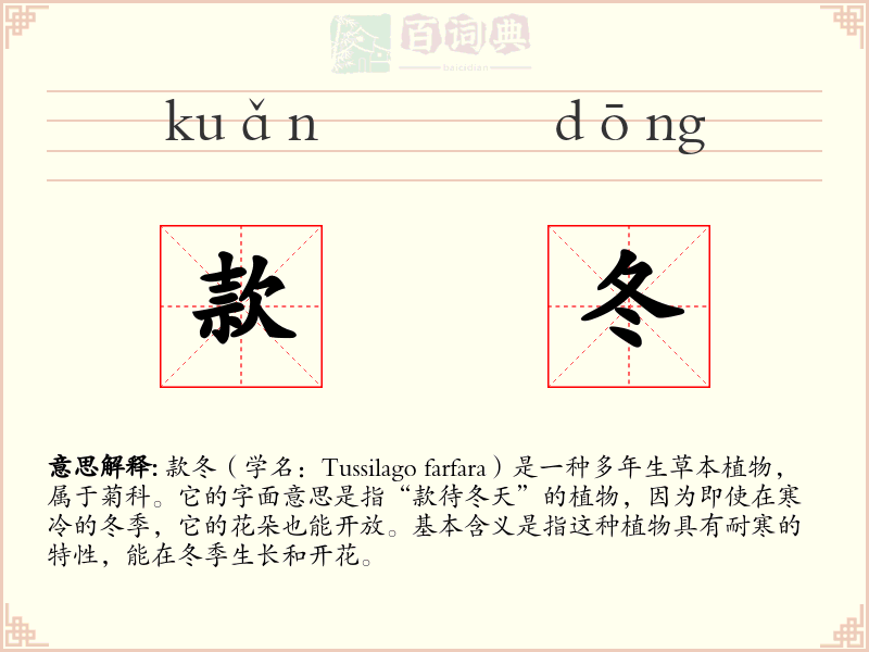 款冬