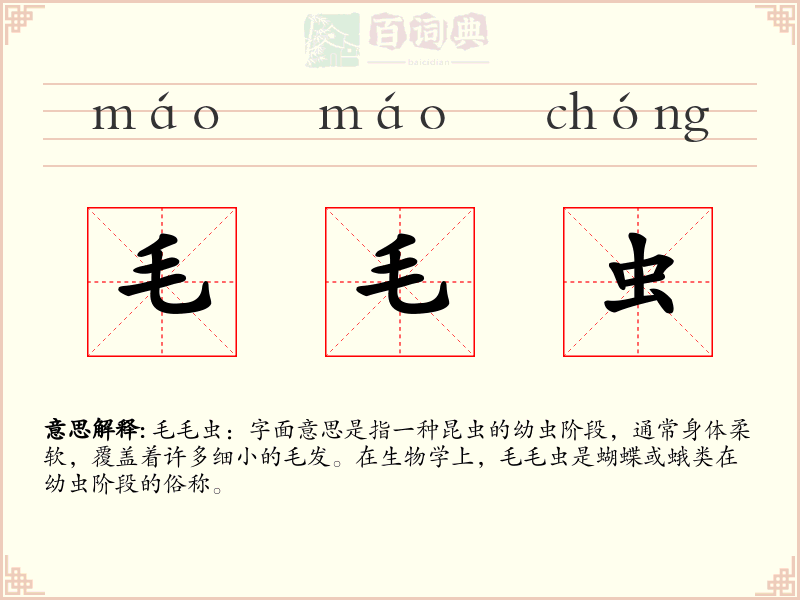 毛毛虫