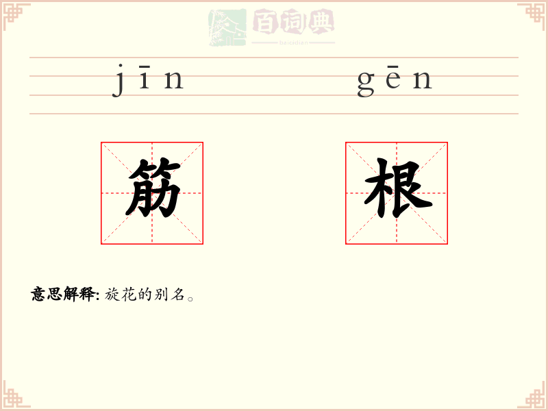 筋根