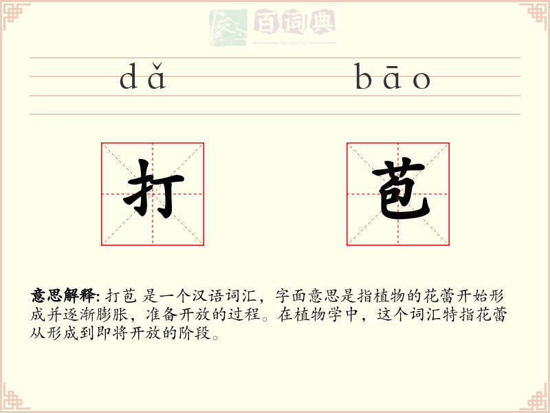 打苞