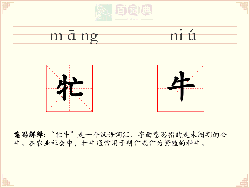 牤牛