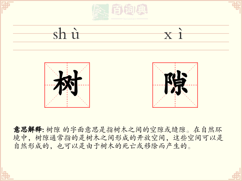 树隙