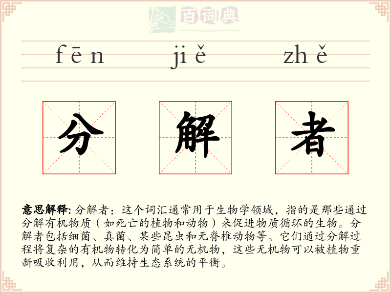 分解者