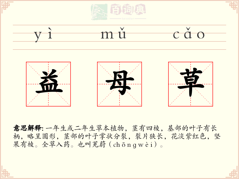 益母草