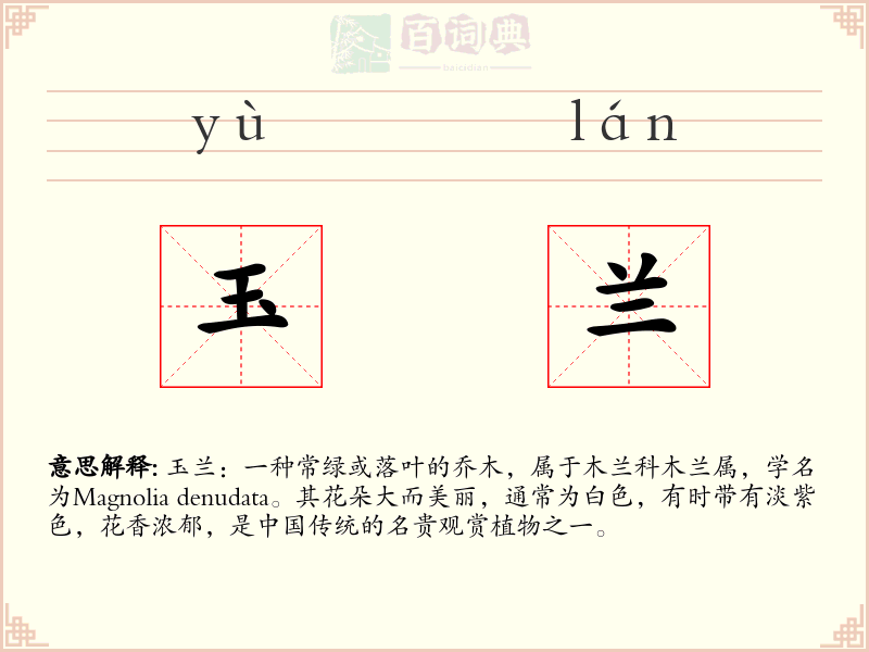 玉兰