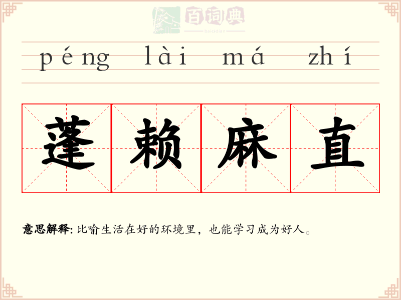蓬赖麻直